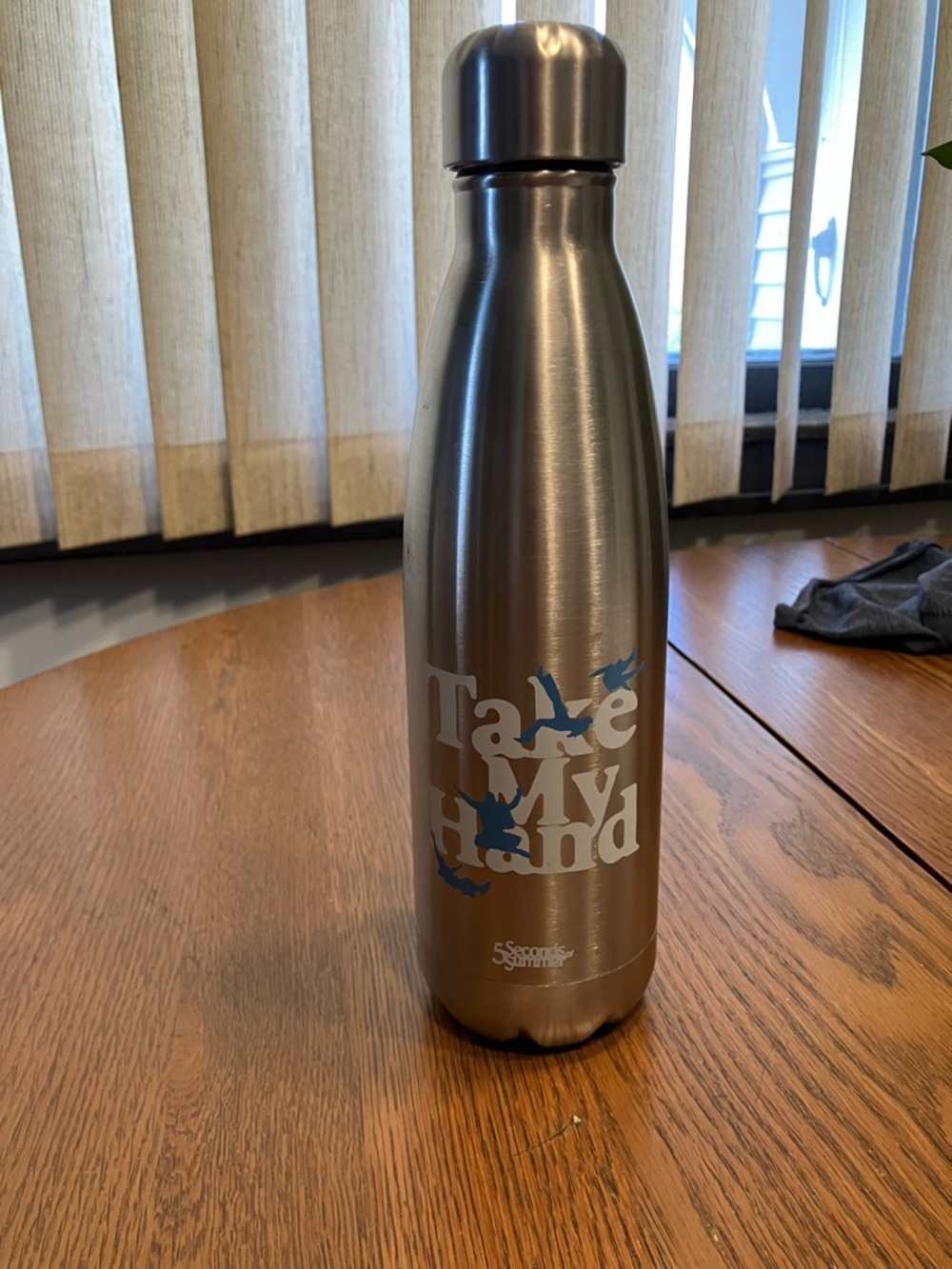 5 Seconds Of Summer 2022 Take My Hand Concert Insulated Water Bottle NWOT